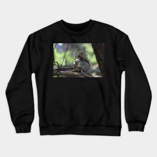 Squirrel Crewneck Sweatshirt